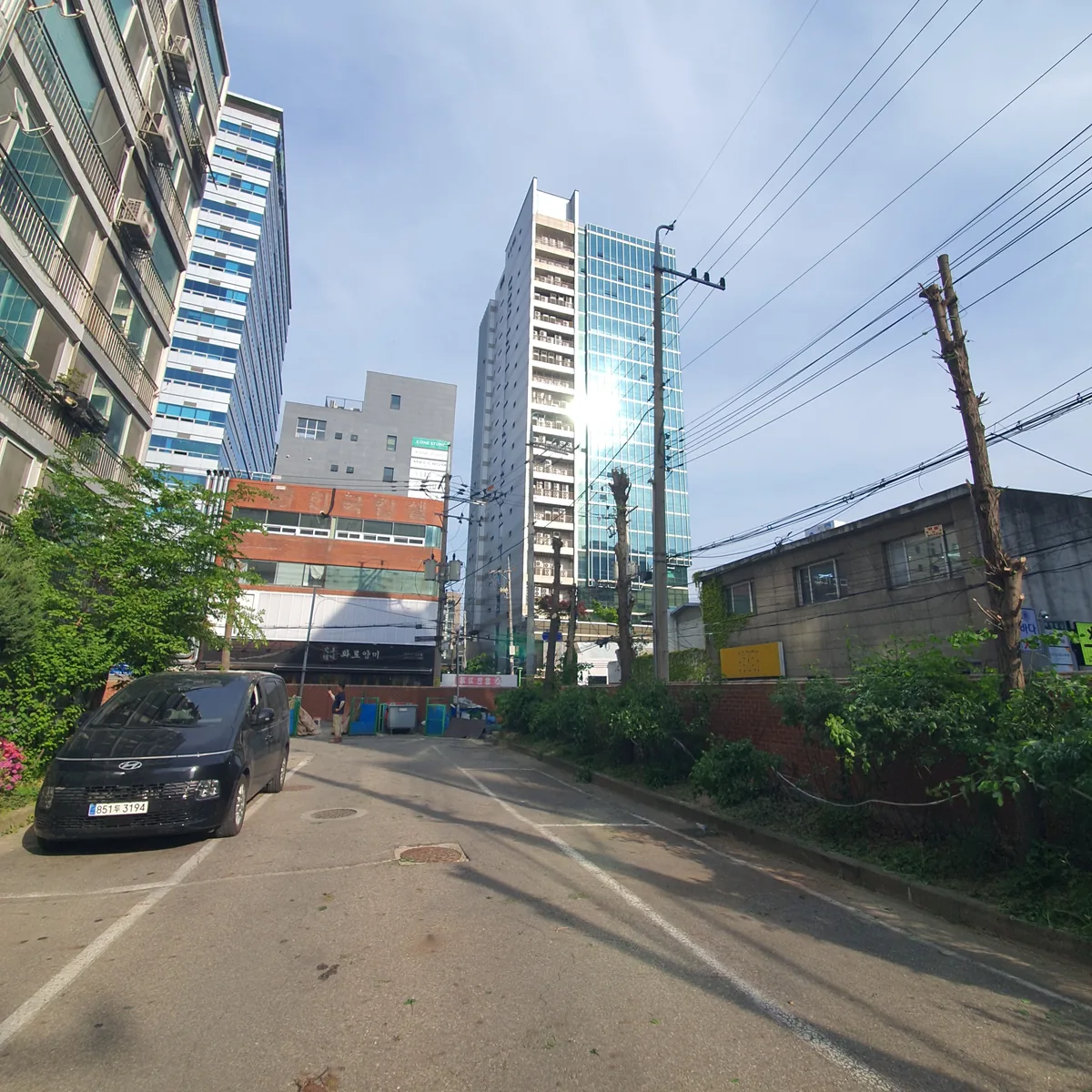 도로변 가로수 가지치기 — 같은 도로 정비 완료, 작업 후