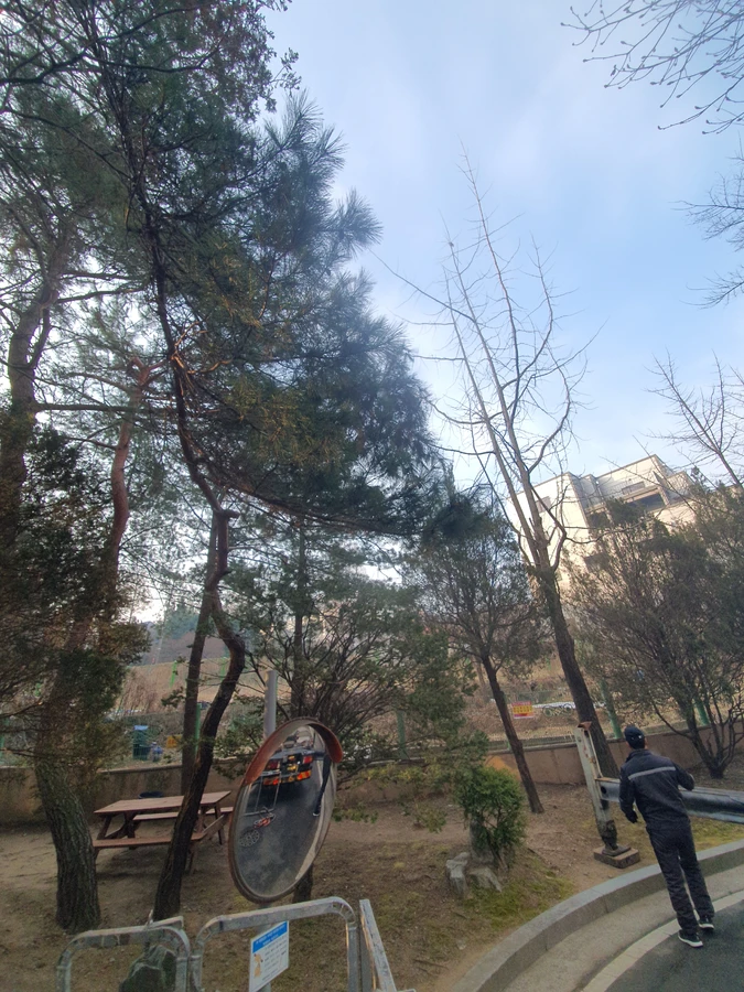도로벌목 — 도로나무제거 페이지에서 함께 보는 추천