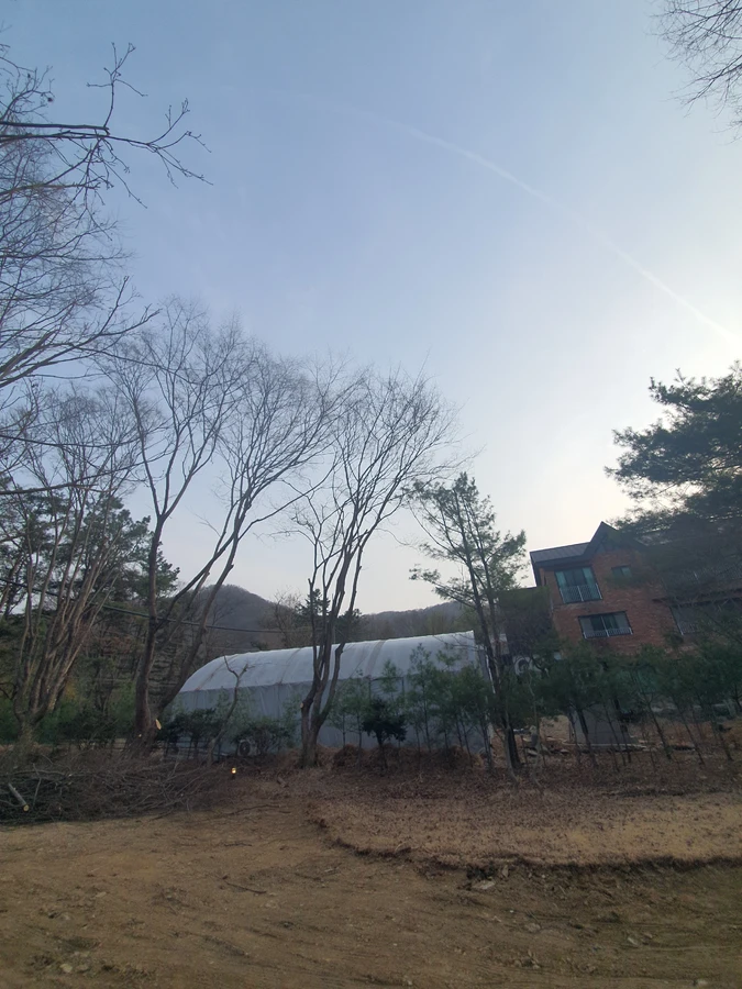 가로수위험목 — 도로나무제거 페이지에서 함께 보는 추천