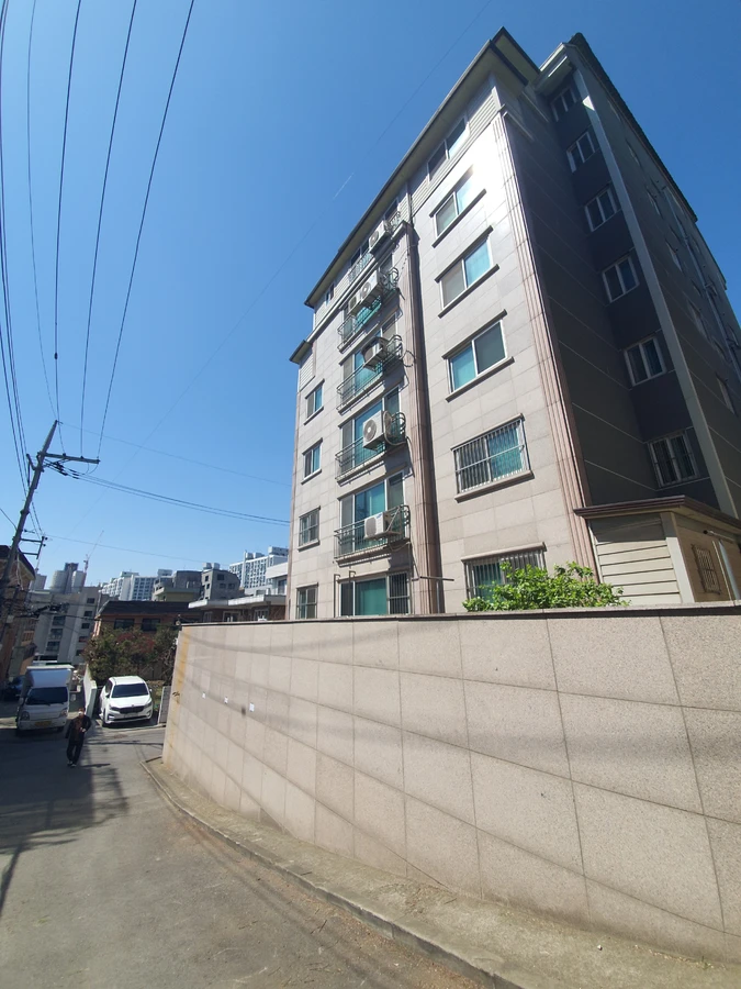 도로변뿌리제거 — 도로나무제거 페이지에서 함께 보는 추천