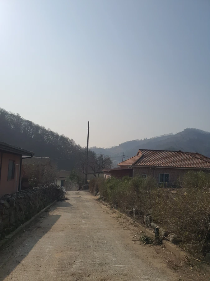 도로변나무정리 — 도로나무제거 페이지에서 함께 보는 추천