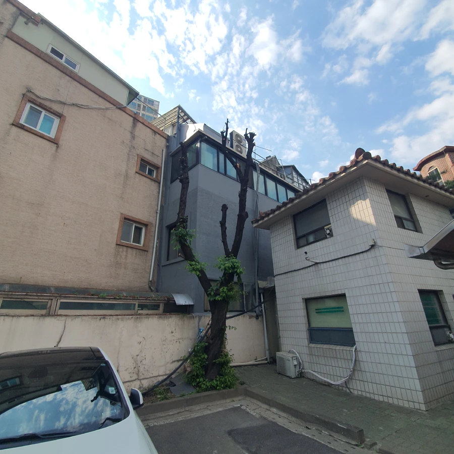 도로변뿌리제거 시공 — 굴착 마감