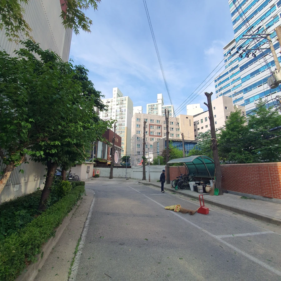 시공 사례 — 가로수 가지치기