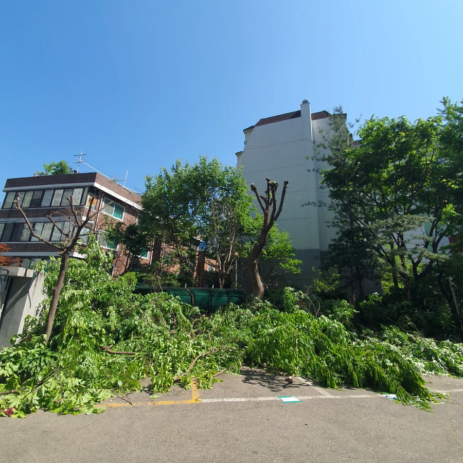 시공 사례 — 뿌리·그루터기 제거