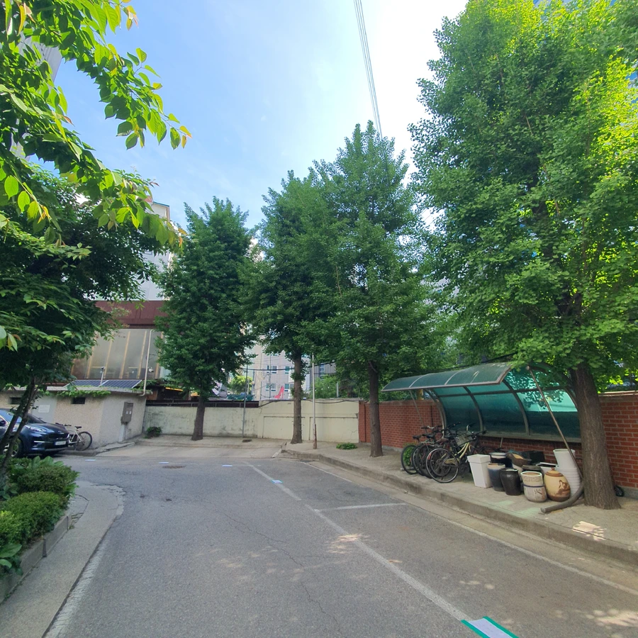 가로수위험목 시공 — 현장